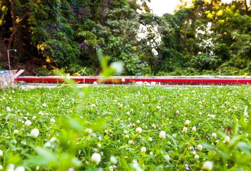 침실 3개 주택, Caparica Azores Ecolodge