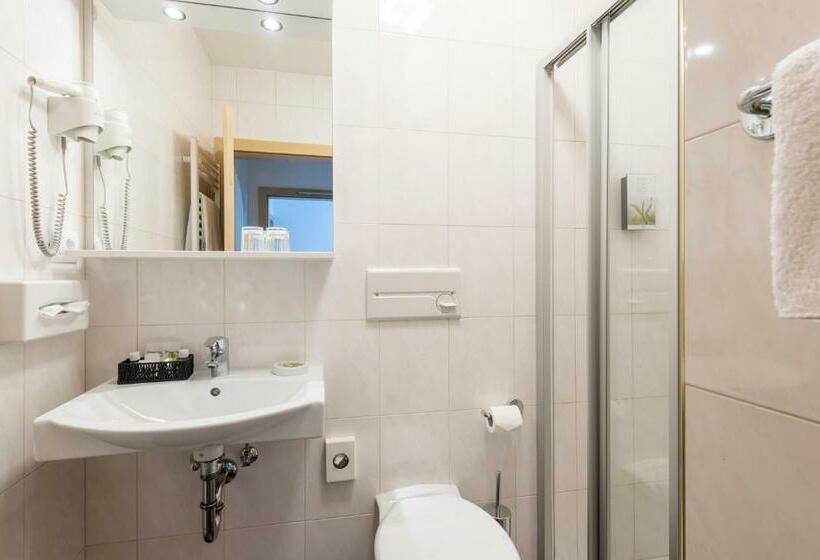 标准单人间, Goldener Löwe   Anno 1773