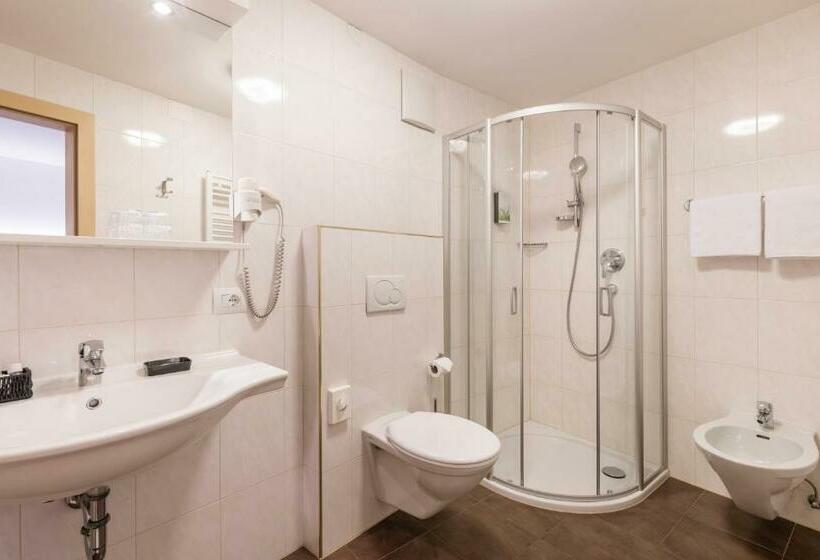 标准间, Goldener Löwe   Anno 1773