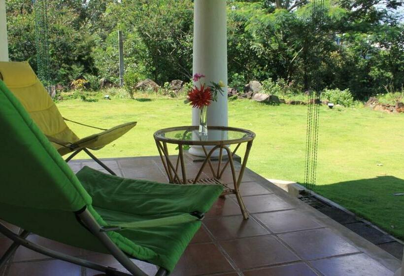 デラックスファミリールーム, Jungle Tide