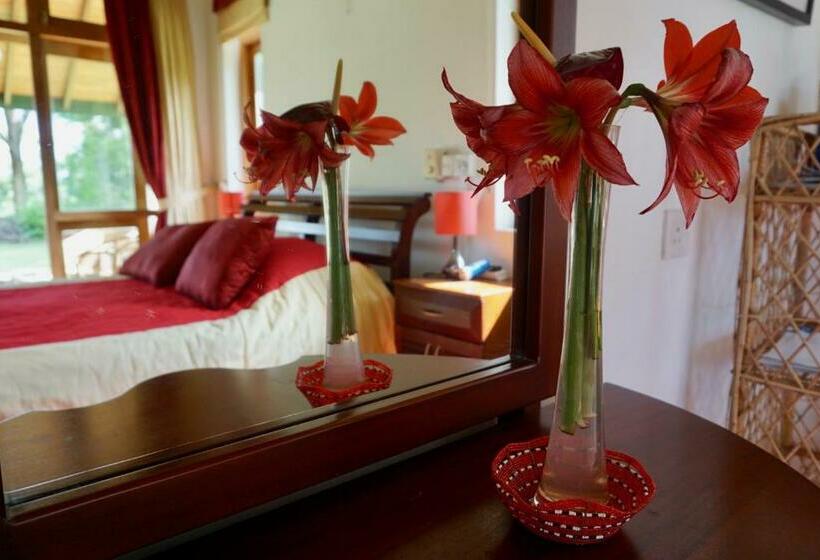 デラックスファミリールーム, Jungle Tide