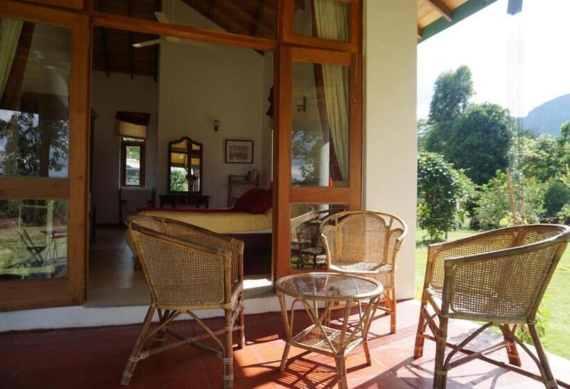 デラックスファミリールーム, Jungle Tide