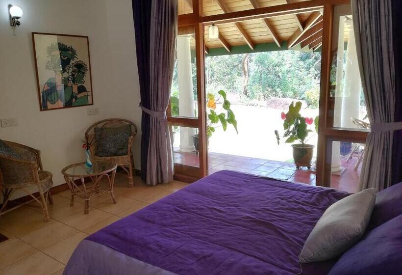 デラックスルーム, Jungle Tide