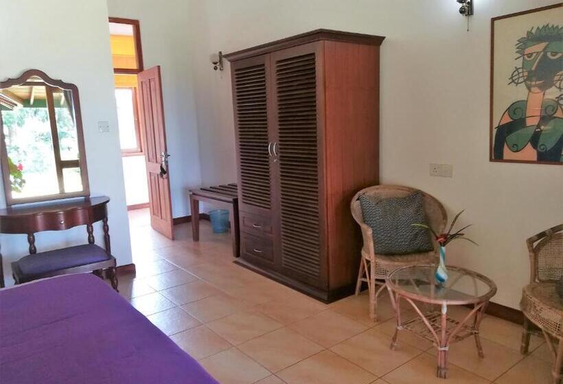 デラックスルーム, Jungle Tide