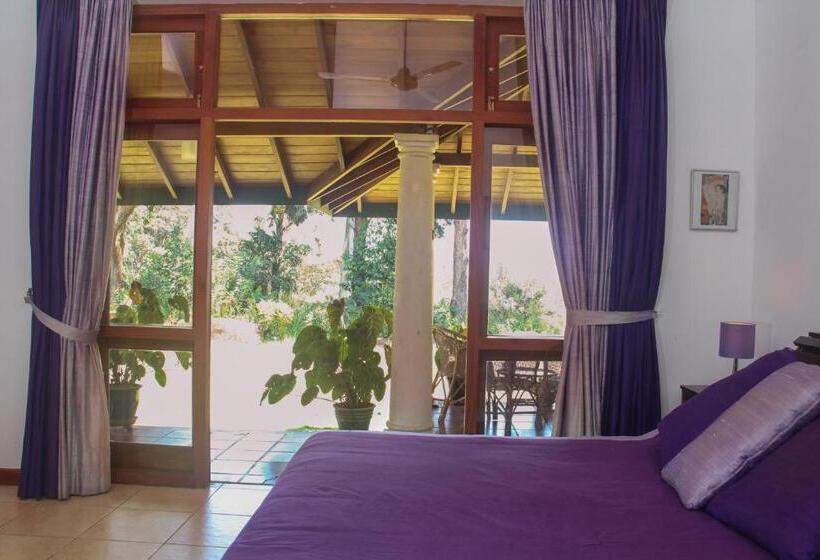 デラックスルーム, Jungle Tide