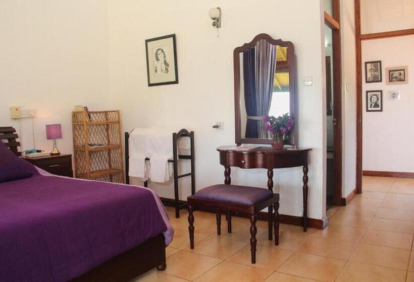 デラックスルーム, Jungle Tide