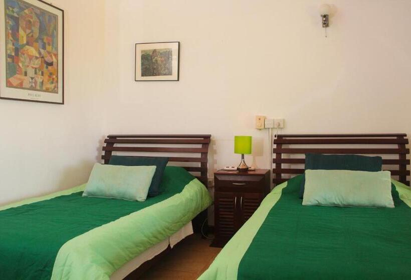 デラックスルーム, Jungle Tide