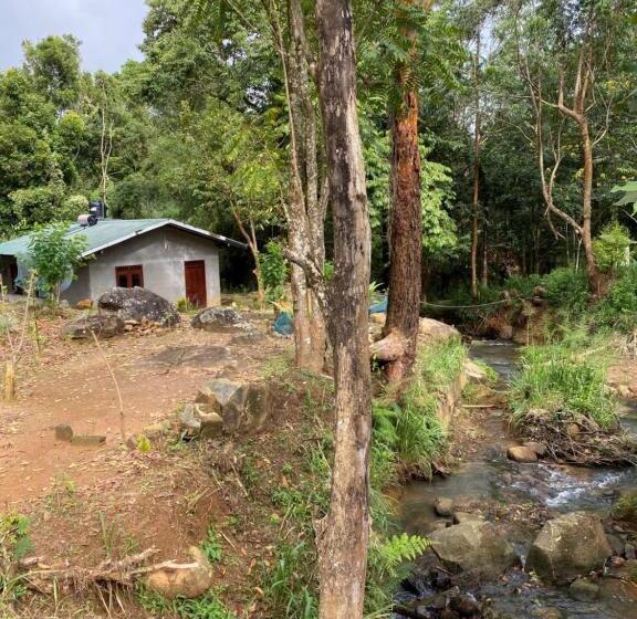 シャレー1寝室, Jungle Tide