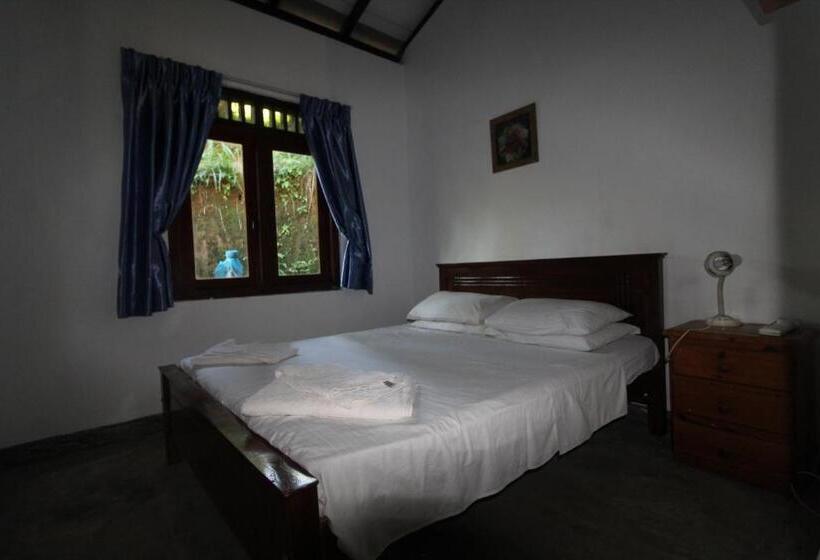 シャレー1寝室, Jungle Tide