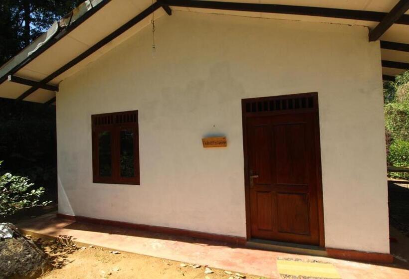 シャレー1寝室, Jungle Tide