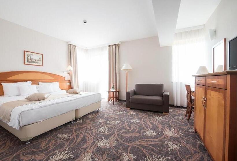 اتاق استاندارد با دسترسی به اسپا, Vitalmed Hotel Sárvár