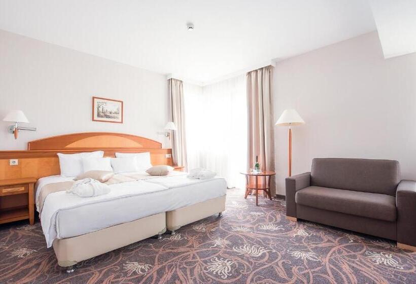 Номер Стандарт с доступом в Спа, Vitalmed Hotel Sárvár