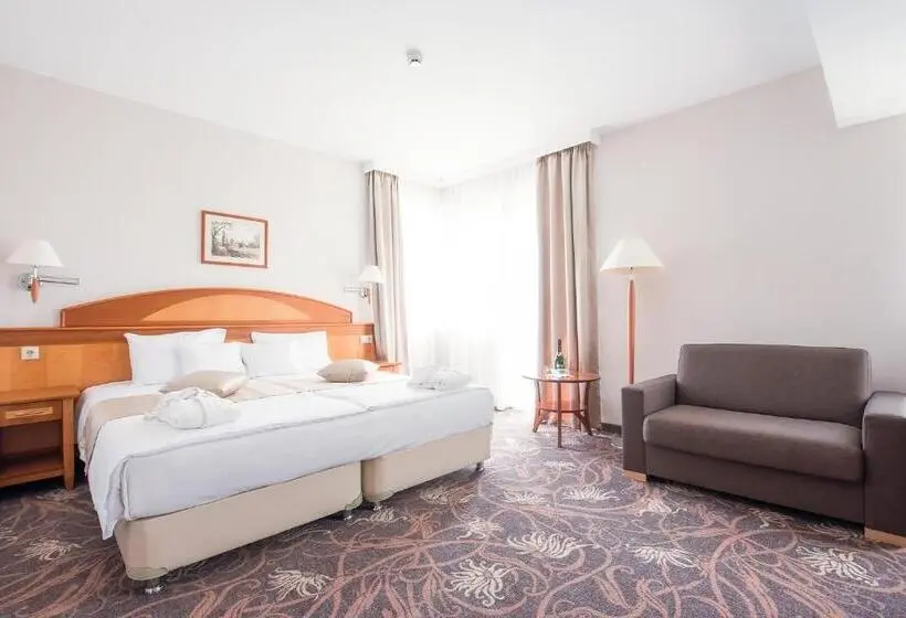 スパアクセス付スタンダードルーム, Vitalmed Hotel Sárvár