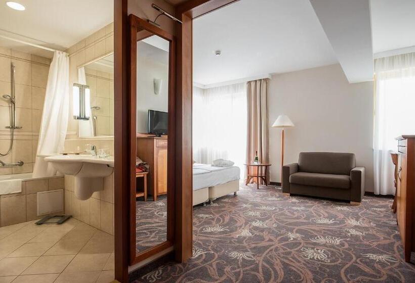 اتاق استاندارد با دسترسی به اسپا, Vitalmed Hotel Sárvár