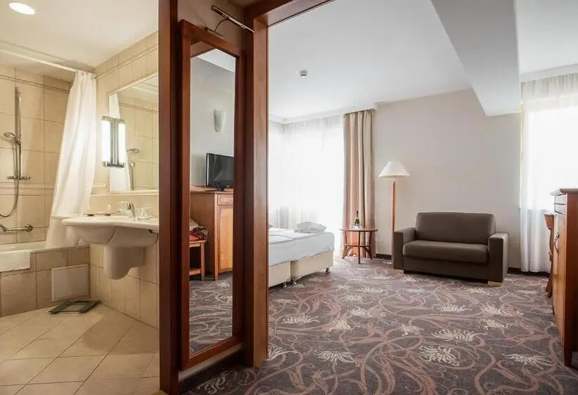 スパアクセス付スタンダードルーム, Vitalmed Hotel Sárvár