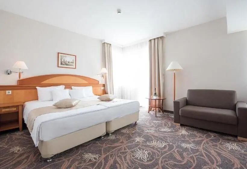 スパアクセス付スタンダードルーム, Vitalmed Hotel Sárvár