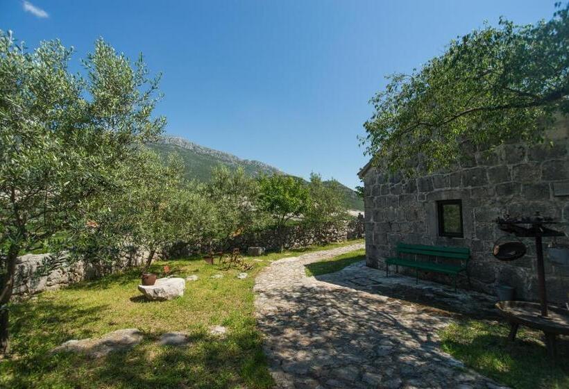 إستديو عائلى, Ethno Village Kokorici