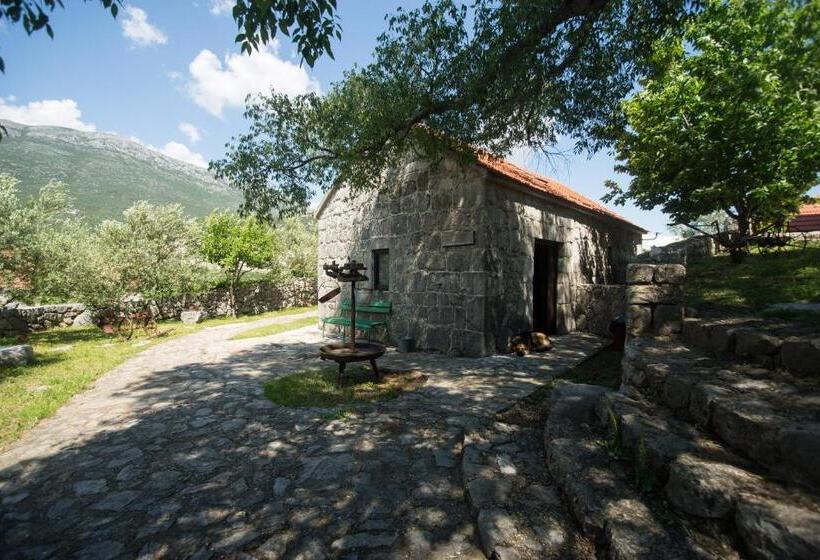 إستديو عائلى, Ethno Village Kokorici