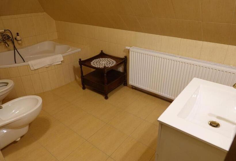 １ベッドルームアパートメント, Gościniec Dworski W Ropie   Pokoje Gościnne