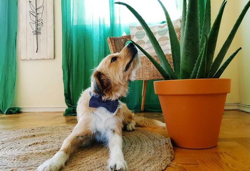 غرفة قياسية مزوَّدة بشُرفة, Green Element Guesthouse