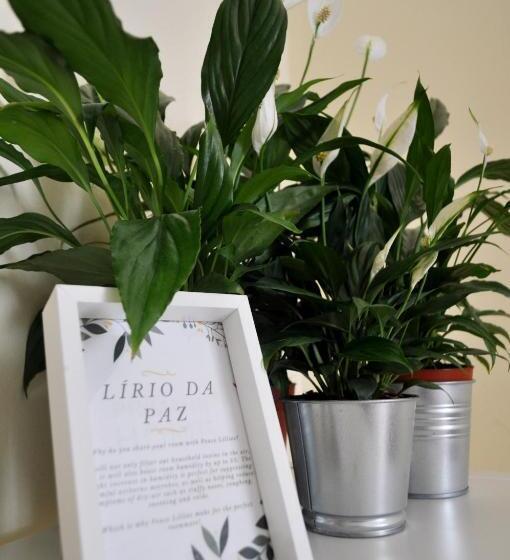 غرفة قياسية, Green Element Guesthouse