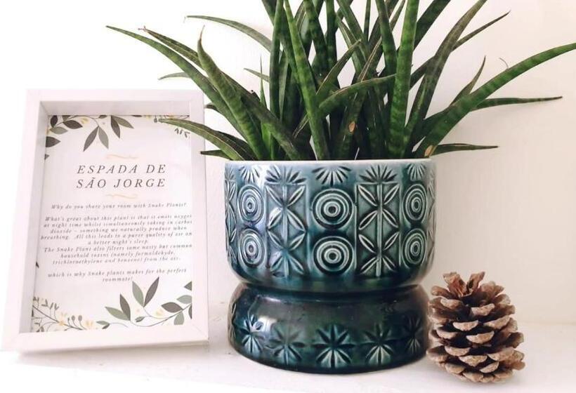 غرفة إقتصادية, Green Element Guesthouse