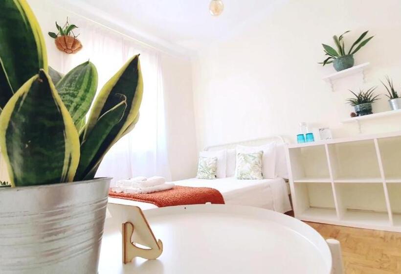 غرفة إقتصادية, Green Element Guesthouse