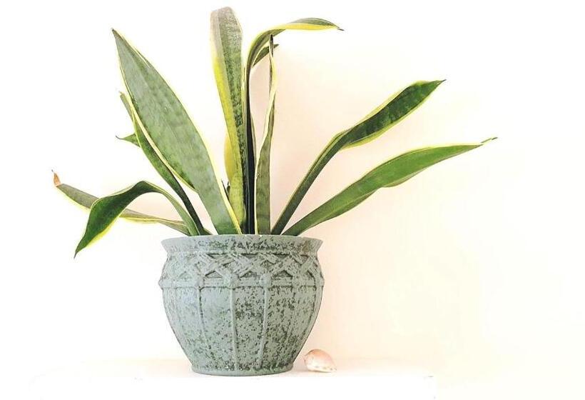 غرفة إقتصادية, Green Element Guesthouse