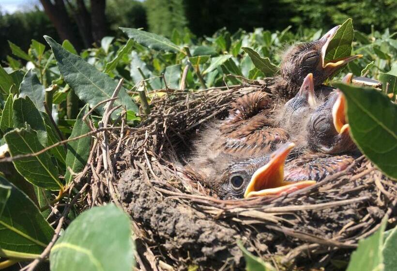 Номер Стандарт, Le Paradis De La Provence
