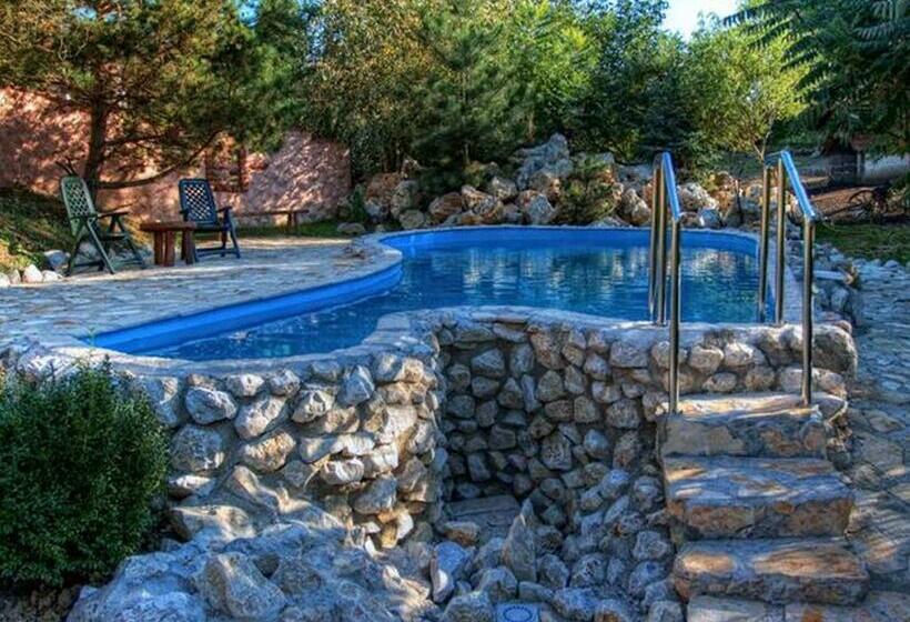 标准间, Stara Vodenica