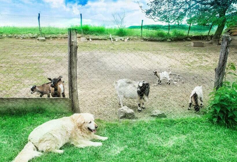 标准间, Stara Vodenica