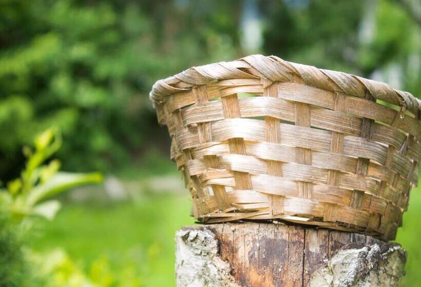 四人标准间, Stara Vodenica