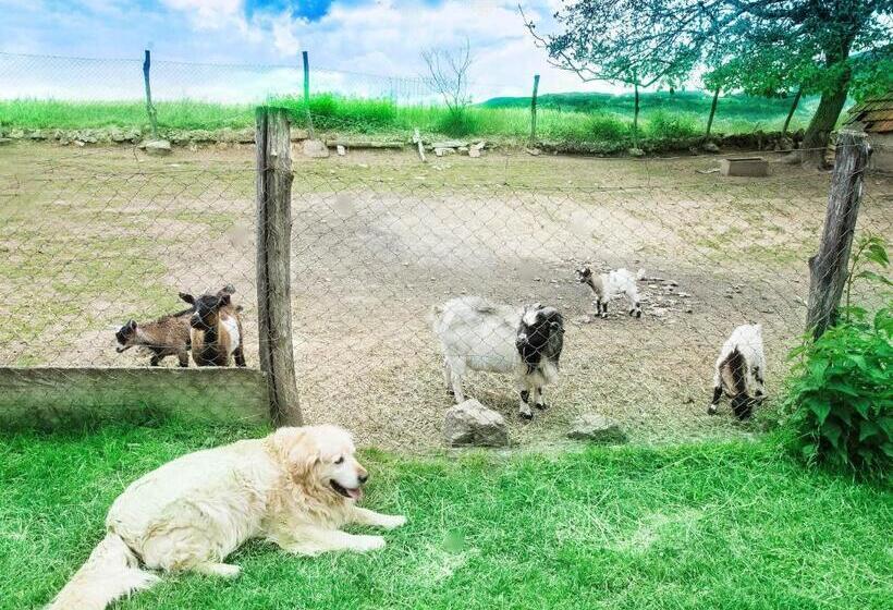 带1个卧室的公寓, Stara Vodenica