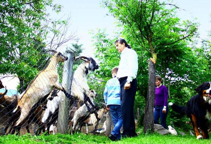 带1个卧室的公寓, Stara Vodenica