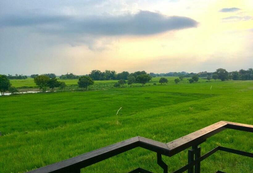 스탠다드 발코니 룸, Nava Resort