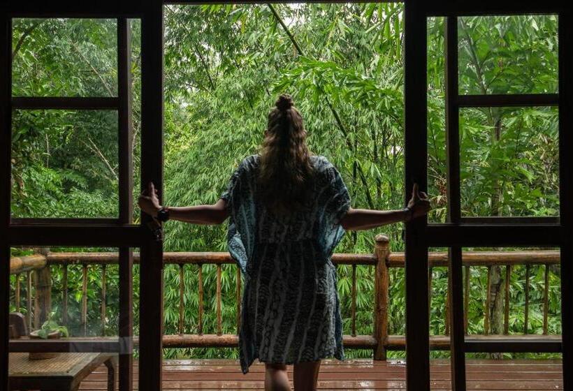 Номер Стандарт, Our Jungle Camp   Eco Resort