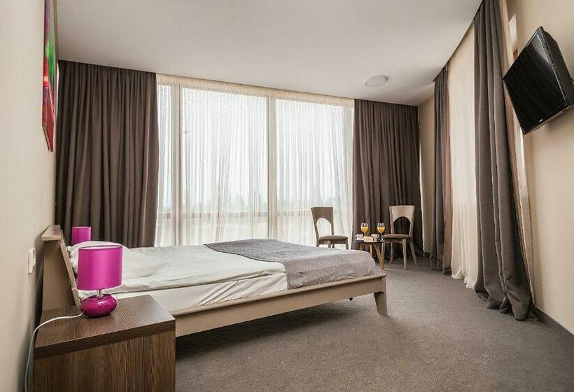 غرفة كومفورت, Wellotel Chornomorsk