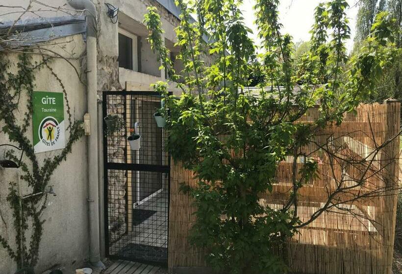 סטודיו דלוקס, La Marelle