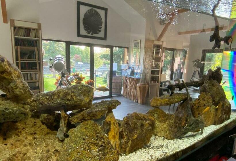 Стандартный Номер Кровать Кинг, Les Crinieres En Brie