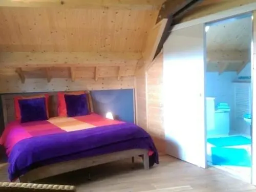 １ベッドルームのデラックスアパートメント, Le Chalet Champenois