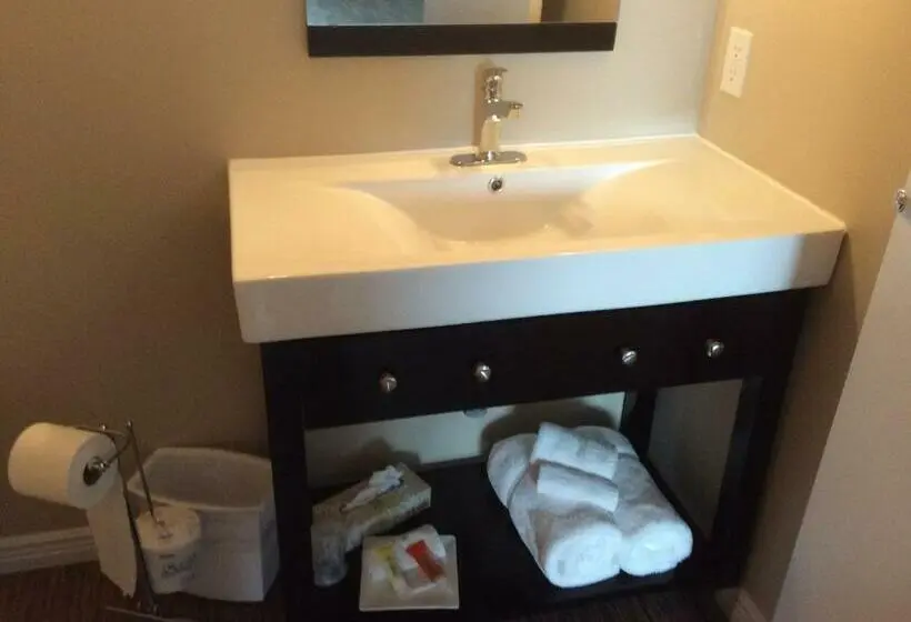 Suite Cama King, 1212