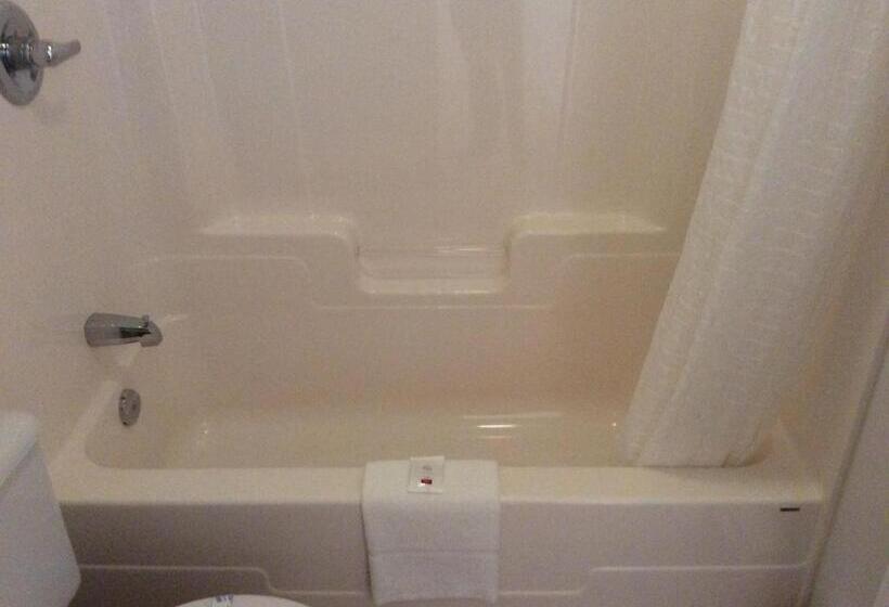 Номер Стандарт, 1212