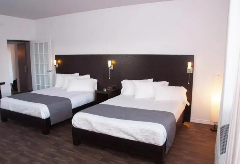 Quarto standard, 1212