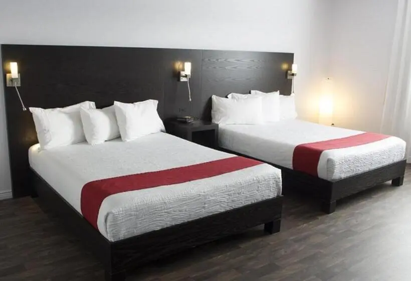 Quarto standard, 1212