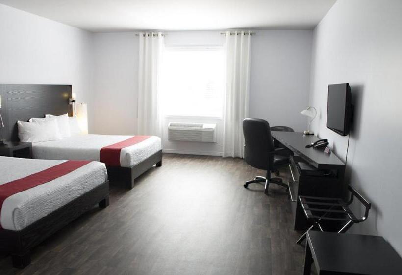 Номер Стандарт, 1212