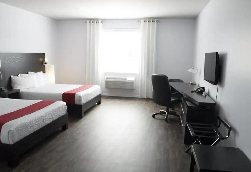 Quarto standard, 1212