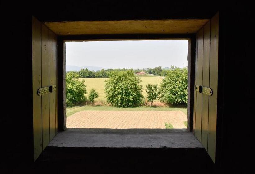 غرفة قياسية, B&b Kiwi