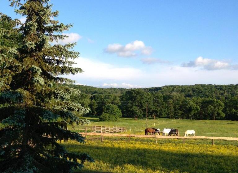 منزل غرفتين نوم, Kerca Bio Farm