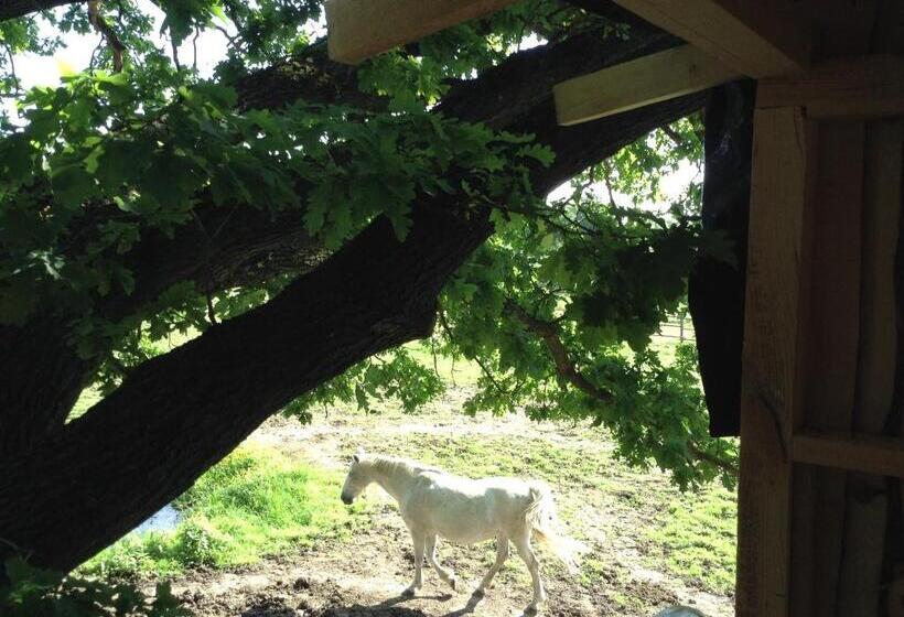 غرفة قياسية ثلاثية مزودة بشرفة, Kerca Bio Farm