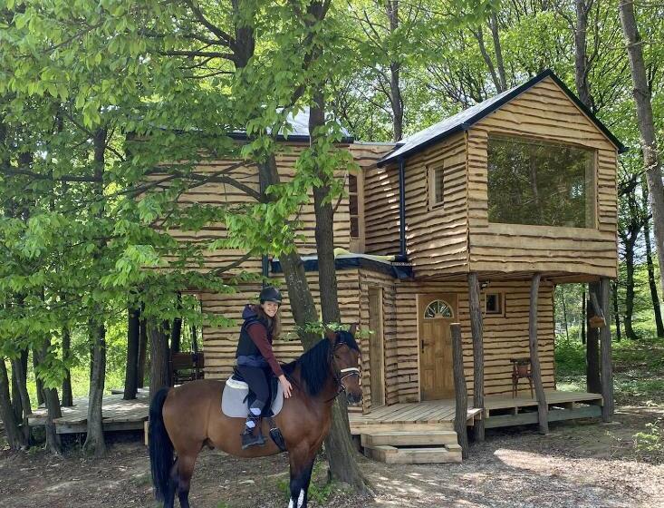 شاليه غرفة نوم واحدة, Kerca Bio Farm